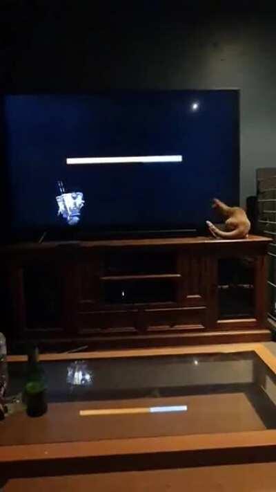 Borderlands isn't just for people