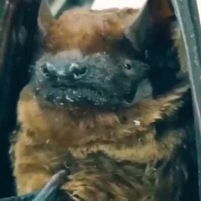 Ты меня снимаешь?