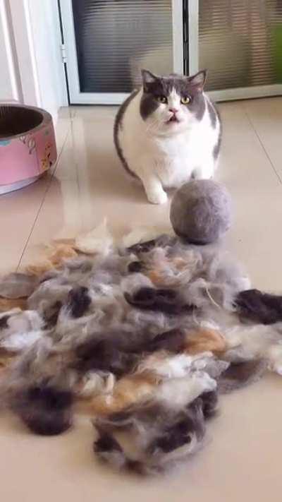 Happy weekend! But please don't this to your friend even for some fun!