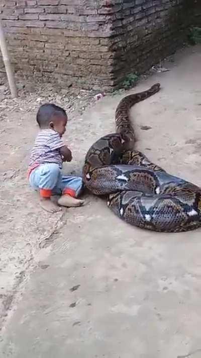 HMB while I film my son playing with a snake