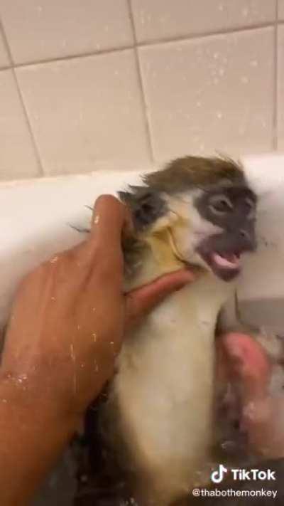 El admin durante estos 7 días