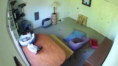 Oh, were you sleeping here?