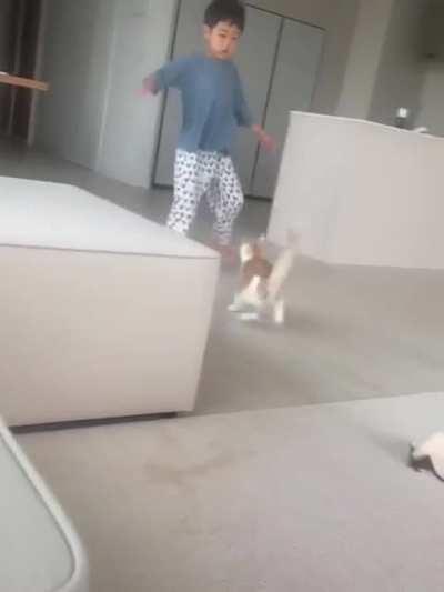 My children are playing