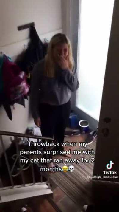 My long lost cat… wait