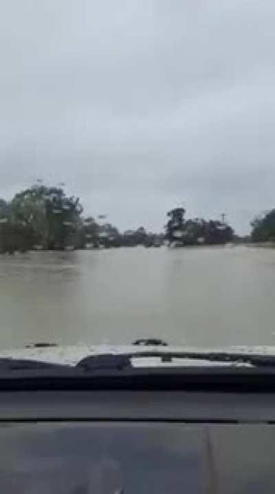 ...to cross a flooded road in Victoria, Australia.