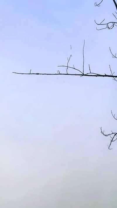 “Professionals have standards”