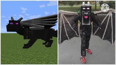 Minecraft In Real Life