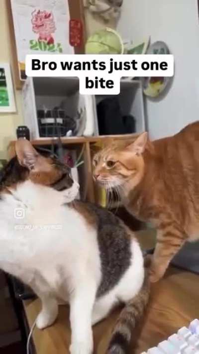 He’s Not A Pervert, He’s Just Orange 🤷🏽