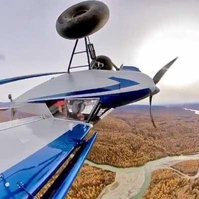 Be Mesmerized. I don't know what that's called, but it looks risky.