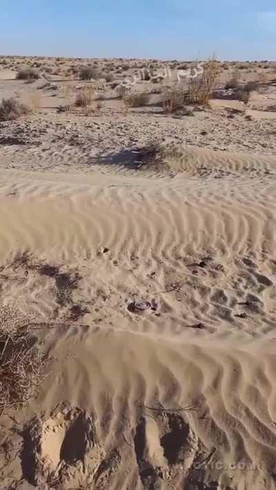 Don't play with landmines