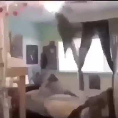 The marines brutally killing the scientists