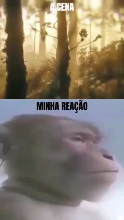 Minha reação 