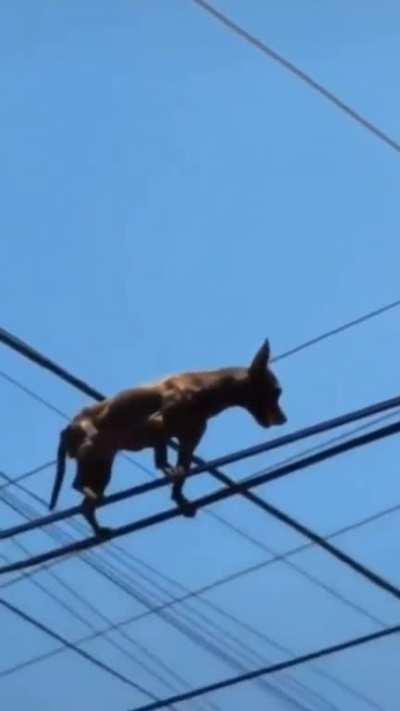 no idea what happened