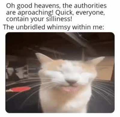 I simply cannot stop!