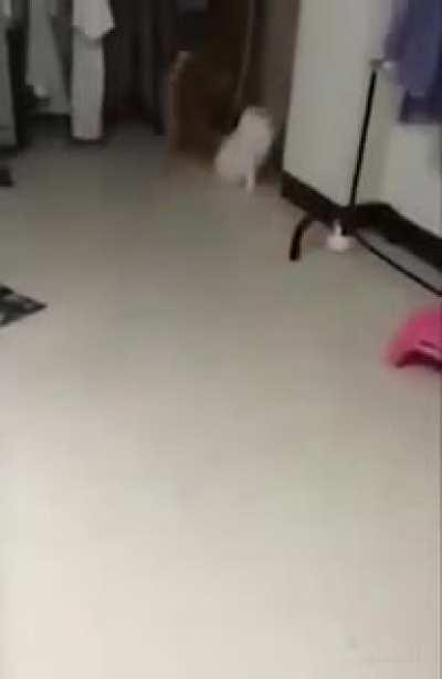 E gira e gira e gira