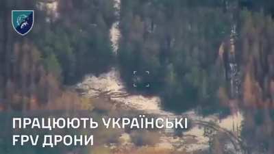 Ukrainian drone footage is showing attacks on and also the destruction of a Russian 2S4 
