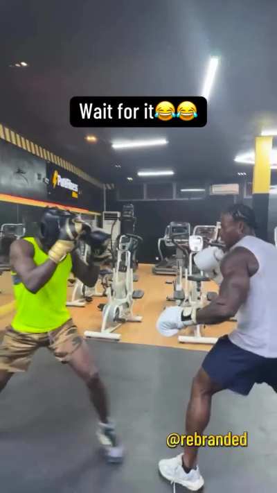 Bodybuilder vs Boxer