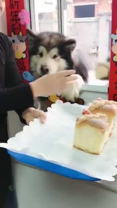 I gave it to this, I gave it to this, I gave it to everyone