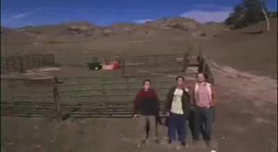 Мне две таких, пжста