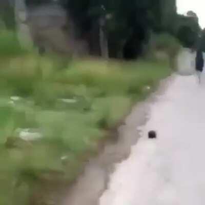 Gere conteúdo pra sua live macacolol