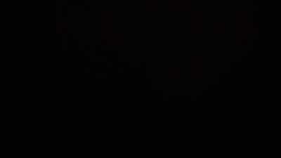 Unidentified squeaking in the wall