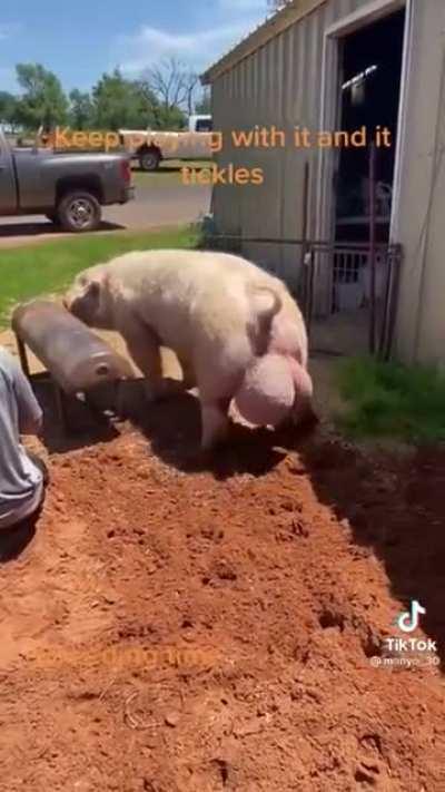 Look at the size of those balls…