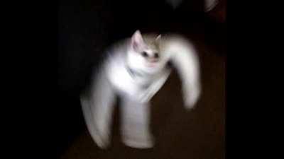 Pov: Mih just realeased and you are glitched on the ground.