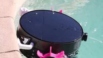 What is my purpose? You clean pools.