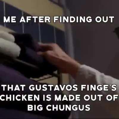 No gustavo big chungus is sacred animal🤯😡😡😡😨😱😭😭