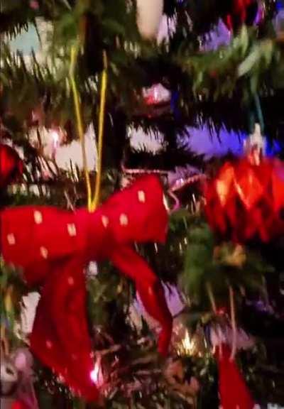 Delicious danger snack