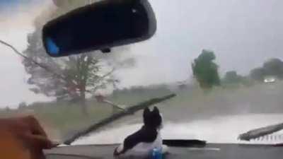 His title is Chief Windshield Wiper Operator.