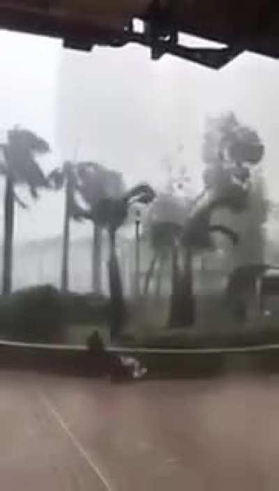 HMRB while I take a walk during a storm
