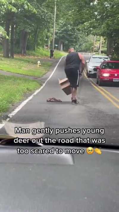 Man pushes scared baby deer off the road