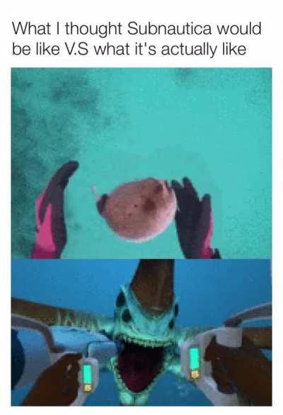 [No Spoilers] [Meme] Expectations V.S Reality Playing Subnautica