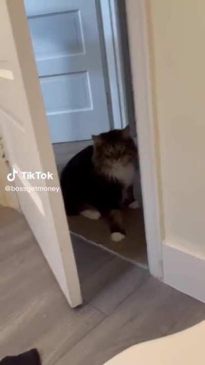 He stares at me every time I take a bath