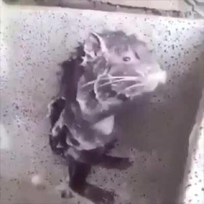 I'm 15 and this is yeet