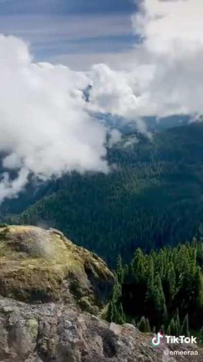 I mean, pretty.. but NOPE