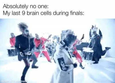 That's what you do best. That's what you do best. *Intense headbanging intensifies intensely*