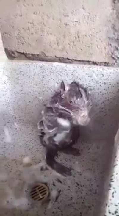 Micah taking a shower