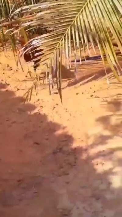 Ex jogador de Free Fire aí ó