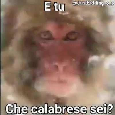 Oggi mi sento un po' Pasquale