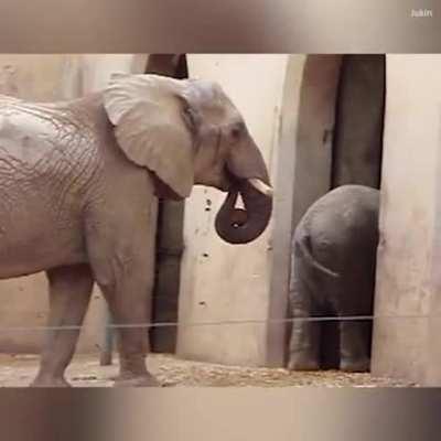 Thanks, I hate this video now.