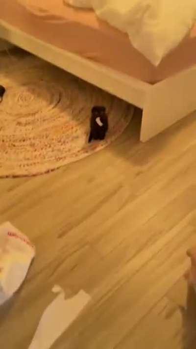 When you get caught in action and don't know what to do.