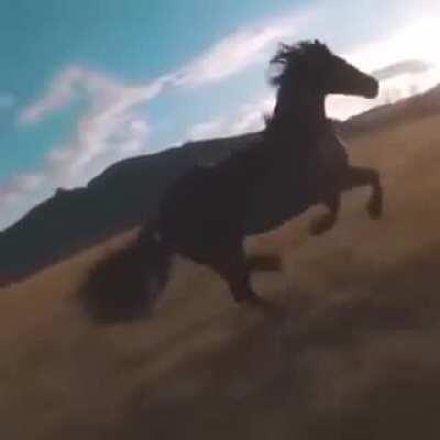 Whoops! What an unpleasant bump!