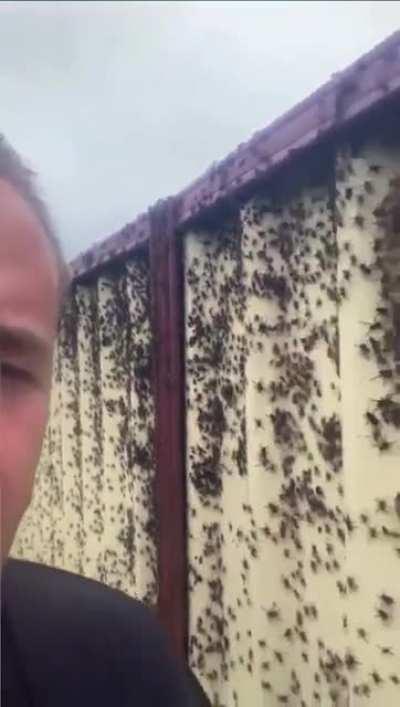 Welcome to the Sydney surbubs