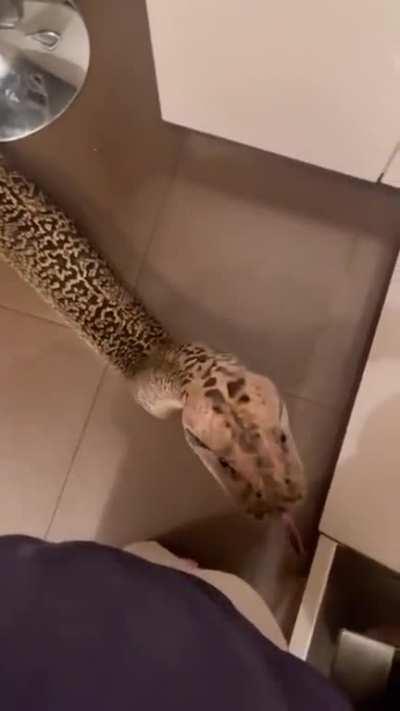 everybody loves noodles