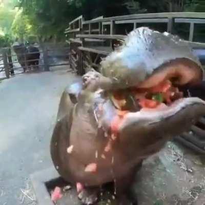 Медку бы (с)