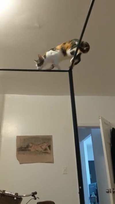 Why is she like this?