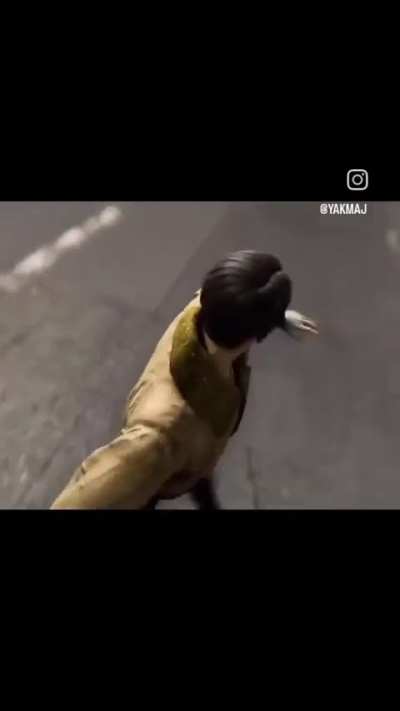 There's both in there 60s BTW