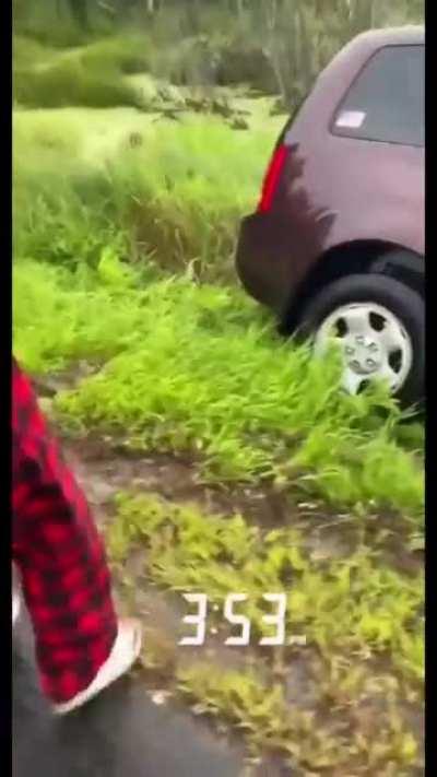 Girls messing around.